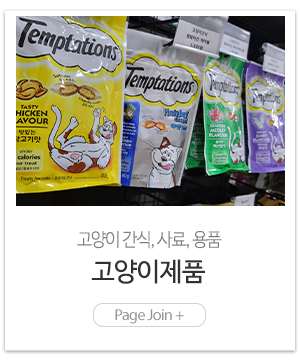 젤리펫_메인링크_고양이